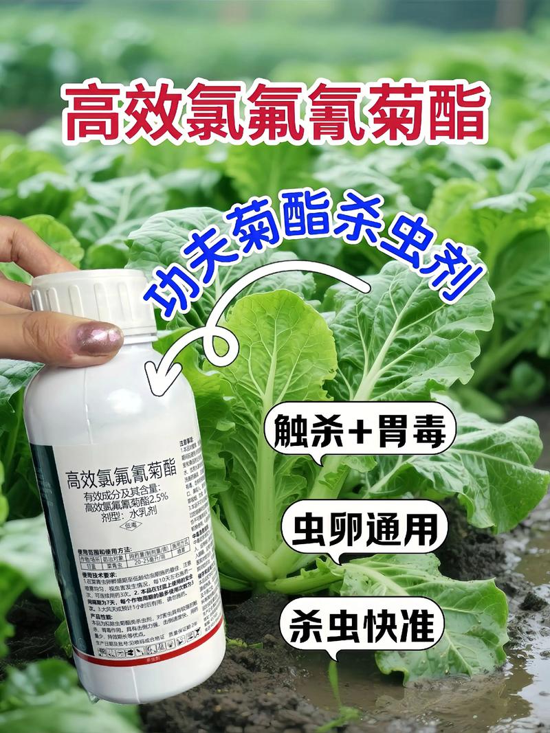 淮北代生中心:农药对供卵代生妈妈的危害